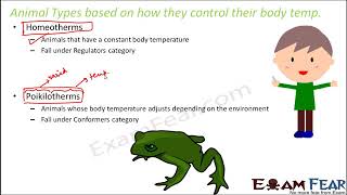 Biology Organisms amp Population part 14 Homeotherms Poikilotherms Ectotherms class 12 XII [upl. by Monroe]