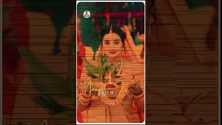 Chhath Puja Status 🙏 New Trending Chhath Puja Status 🙏💫🦋 chhathpuja shorts trending viral [upl. by Koval]