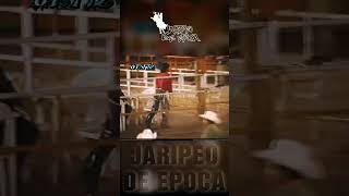 BETO DE CHALCO VS AVISMO jaripeodeepoca [upl. by Enelcaj]