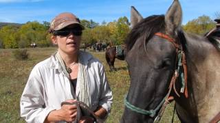 Mongolia Horseback Adventure Tours  Kims Comments on Stone Horse Travel in Mongolia [upl. by Sashenka]