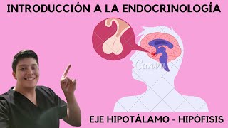 Introducción a Endocrinología FISIOLOGÍA [upl. by Jennie]