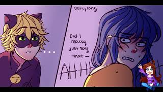 【Miraculous Ladybug Comic Dub】Delicate Part 2 [upl. by Crescint]