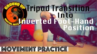 Movement Practice Tripod Transitions to Crab Position [upl. by Mcclees]