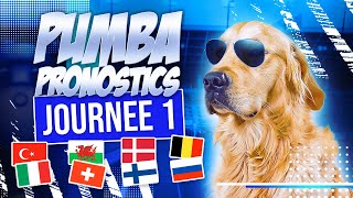 MON CHIEN PRONOSTIQUE LEURO 2020 1ère journée [upl. by Pihc648]