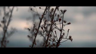 Nature  Cinematic short film  Nikon D3200 [upl. by Bronwen]