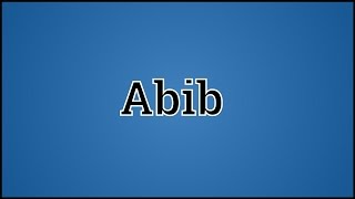 What Abib Means [upl. by Alberta]