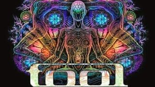 TOOL  LOST KEYSROSETTA STONED Lyrics [upl. by Sandro]