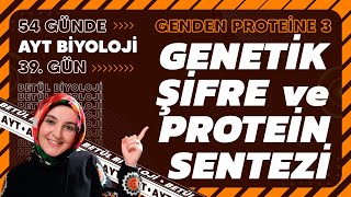 39 Genetik Şifre ve Protein Sentezi  Genden Proteine  12 Sınıf  2024 AYT Biyoloji Kampı 39 Gün [upl. by Gnilrac]