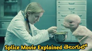 వింత ప్రాణికి Feelings వస్తే ఎం జరుగుతుందిSplice 2009 Movie Explained In TeluguScifi Horror [upl. by Resaec]