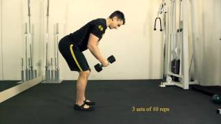 Bent Over Dumbbell Reverse Fly [upl. by Veron]