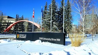 UCalgary Campus Tour  University of Calgary UofC  My Winter Experience [upl. by Alexandrina]