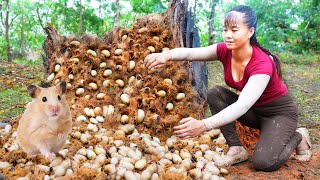 Harvesting Larvae and Pupae from tree trunks goes to the market sell  Daily life [upl. by Safier988]