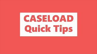 Caseload Management with SLP Toolkit Tool Tips [upl. by Ahsiekal767]