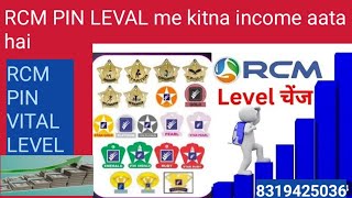 rcm pin levelRCM level incomeRcm business plan rcm pin level rcm network marketing [upl. by Diver]