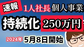 緊急速報・1人社長・個人事業主・中小企業・持続化補助金・小規模事業者持続化補助金・対象２０２４年版５月８日募集開始・１人社長も２００万円・５０万円・２５０万円公募【マキノヤ先生】第1787回 [upl. by Starkey868]