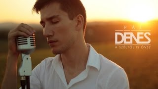 Pál Dénes  A széltől is óvsz Official Video [upl. by Mackie]