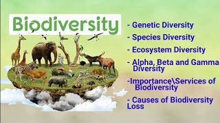 biodiversity its types alpha beta gamma diversity importance amp loss of biodiversity [upl. by Eniamrehc347]