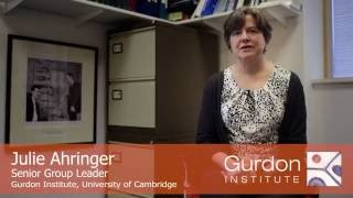 Gurdon Institute  Meet Julie Ahringer [upl. by Embry654]