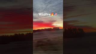 Wildfire in NJNY fire shortvideo travel nature america [upl. by Hsakaa]