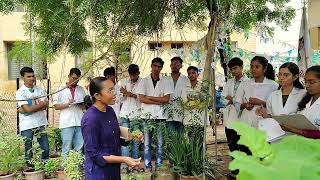 Identification of plant Eclipta alba Bringraj Bhavprakash udhyan SMIASgandhinagar gujarat [upl. by Nastassia99]