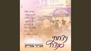 ניצחתי ואנצח [upl. by Howlend]