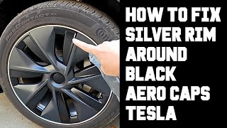 How To Make Model Y Black Gemini Wheel Covers Look Good  Cover Silver Rim Edge Dark Gemini Aero Cap [upl. by Naig]