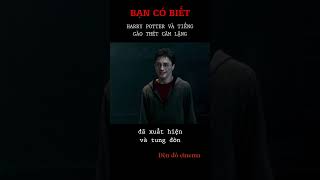 Bạn có biết Harry Potter và Tiếng Gào Thét Câm Lặng Đến Xé Lòng shorts [upl. by Adama674]