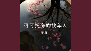 可可托海的牧羊人 Live [upl. by Robinett]