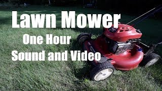 Lawn Mower Sound and Video 1 Hour [upl. by Gregorius]