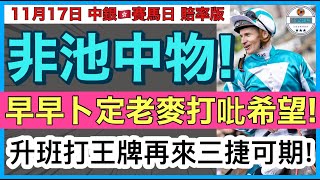 【小梁論馬】11月17日中銀🇭🇰賽馬日賠率版  非池中物  早早卜定老麥打吡希望  升班打王牌再來三捷可期  賽馬KOL小梁KleagueworkshopKen [upl. by Killoran]