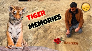 Memories Of Our BageeraTIGER [upl. by Alym]