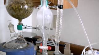 ESSENTIAL OIL DISTILLATION [upl. by Ettennej]