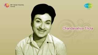 Chandavalliya Thota  Oh Nanna Baandhavare song [upl. by Hughes]