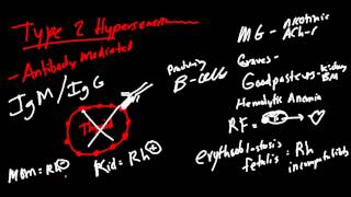 Hypersensitivity Reactions Made Simple [upl. by Enerod]