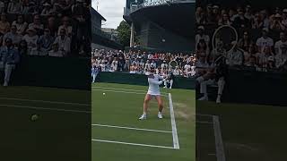 Barbora Krejčíková Wimbledon Masterclass wta tennis forehandwinner [upl. by Artened]