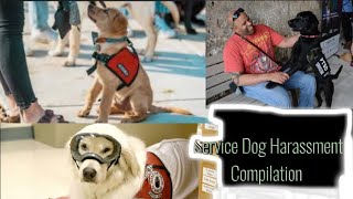 Service Dog Harassment Complation [upl. by Dnarb]