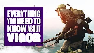 Everything You Need To Know About Vigor [upl. by Theona812]