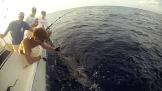 Big Eye Thresher Shark Daytime Swordfishing Miami [upl. by Mudenihc]