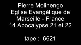 Pierre Molinengo  Apocalypse  14  chapitre 21 amp 22 [upl. by Millan]