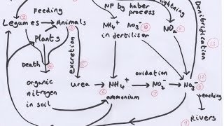 Ecosystems and Sustainability [upl. by Woo985]