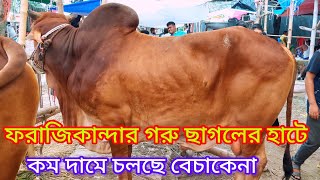 কম দামে গরু ছাগল বিক্রি হচ্ছে ফরাজিকান্দার হাটে। বন্দর নারায়ণগঞ্জ। forajikanda cow hat bandar [upl. by Gavrila]