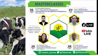 MasterClass Animales menores y mayores [upl. by Rekrap74]