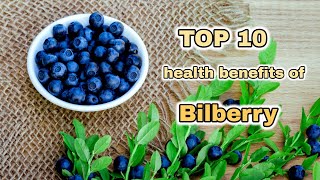 Top 10 Amazing Health Benefits of Bilberry  Health Tips  Sky world [upl. by Nohsar]