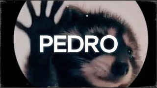 la canción de pedro  PEDRO  Raffaella Carrà Jaxomy Agatino Romero Remix  Letra [upl. by Ailehc]