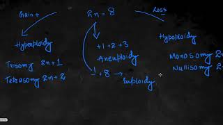 Chromosomal Abbreations Explained [upl. by Eiluj310]