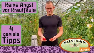 4 einfache Tipps um Krautfäule bei Deinen Tomaten zu verhindern [upl. by Care]