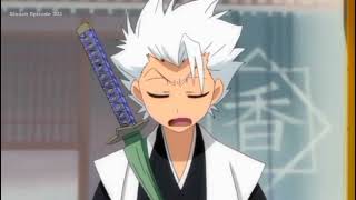 Hitsugaya amp Matsumoto Funny Moments [upl. by Ellasal864]