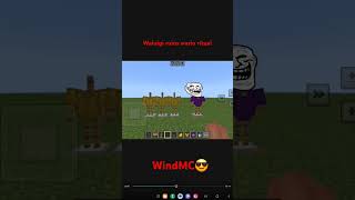 Wario ritual minecraft memes [upl. by Naara]