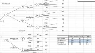 Decision Tree 1 [upl. by Kentigerma]