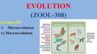 Microevolution amp Macroevolution [upl. by Neelie802]